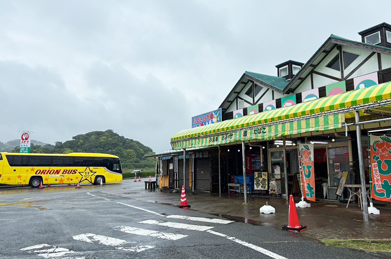 貸切バス 日帰りバスツアーで千葉・房総へ!
