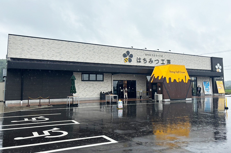 貸切バス 日帰りバスツアーで千葉・房総へ!