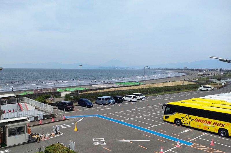 新江ノ島水族館への遠足でオリンバスをご利用いただきました!